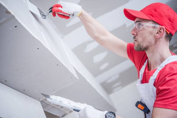 Best Commercial Painting  in El Dorado Hills, CA